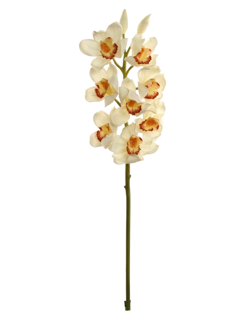 Elegant Set of 12, 30-inch Cream Cymbidium Sprays - Lifelike Orchid Stems for Refined Floral Arrangements and Home Decor