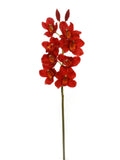 30" Real Touch Silk Cymbidium Orchid with 10 Flowers