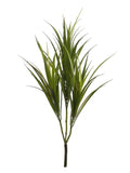 Set of 12 Luxurious 29-inch Dracaena Marginata Plants - Exotic Artificial Indoor Greenery for Elegant Home Decor and Office Spaces