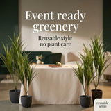Artificial Dracaena Marginata Plants, Set of 12 - 29"
