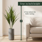 Artificial Dracaena Marginata Plants, Set of 12 - 29"