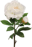 White Faux Peony Stem - 30"