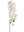 Real Touch Phalaenopsis Orchid with 12 Flowers - 43" - 
    White