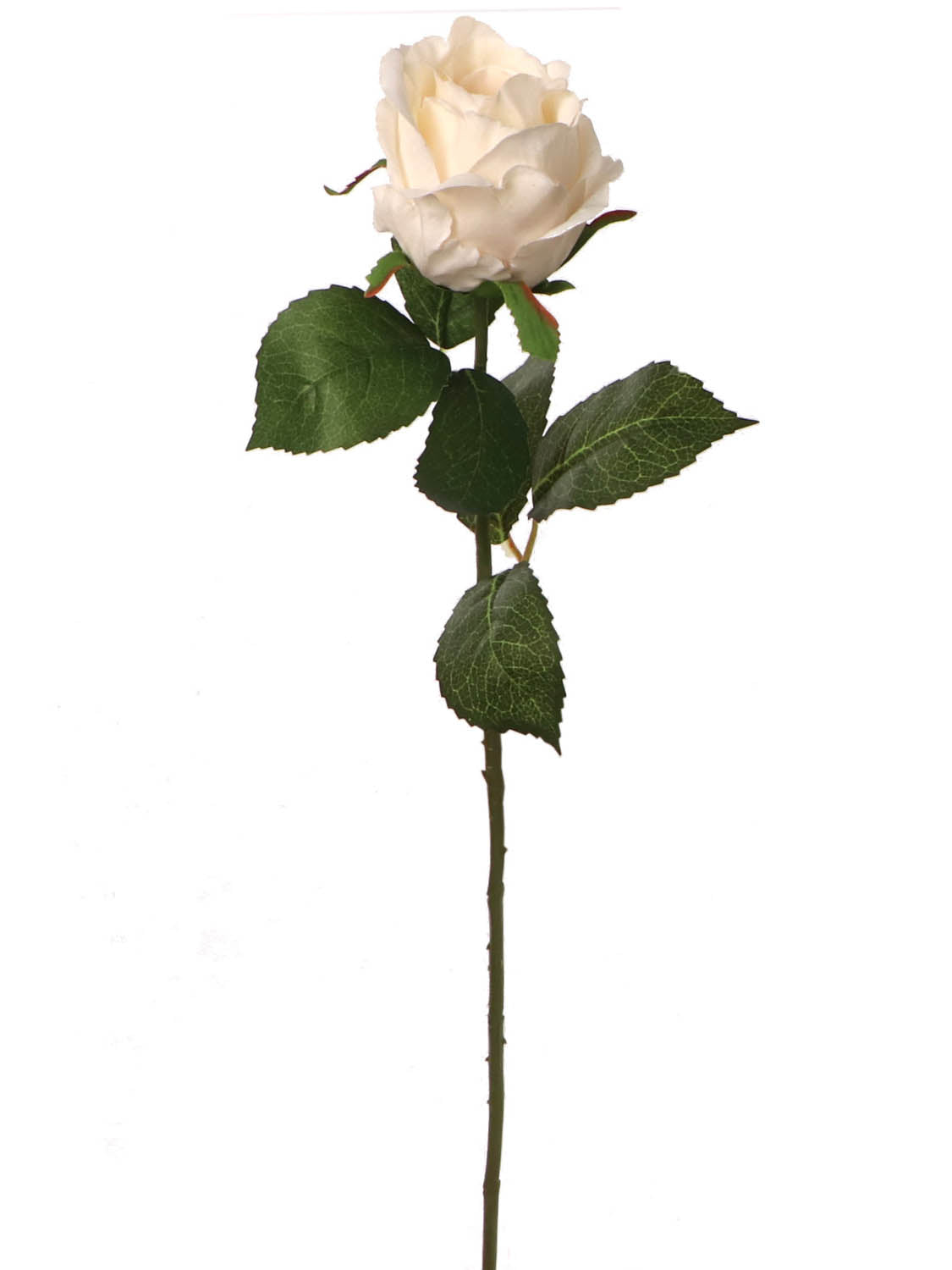 Timeless Elegance: 20" Cream Rose Bud Set - Pack of 48 Realistic Faux Flowers - Ideal for Home Decor, Weddings & Special Occasions