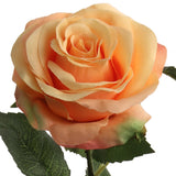 Faux Open Rose Stems - 20"