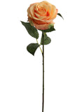 Faux Open Rose Stems - 20