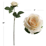 Stunning 20-inch Cream Open Rose with 4" Diameter - Perfect for Weddings, Home Decor, and More
