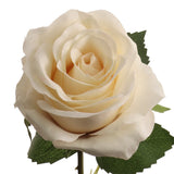 Faux Open Rose Stems - 20"