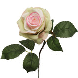 Captivating 20-inch Green Pink Open Rose with 4" Diameter - Ideal for Weddings, Home Decor, and Gifting, Floral Home by Artificial Flowers