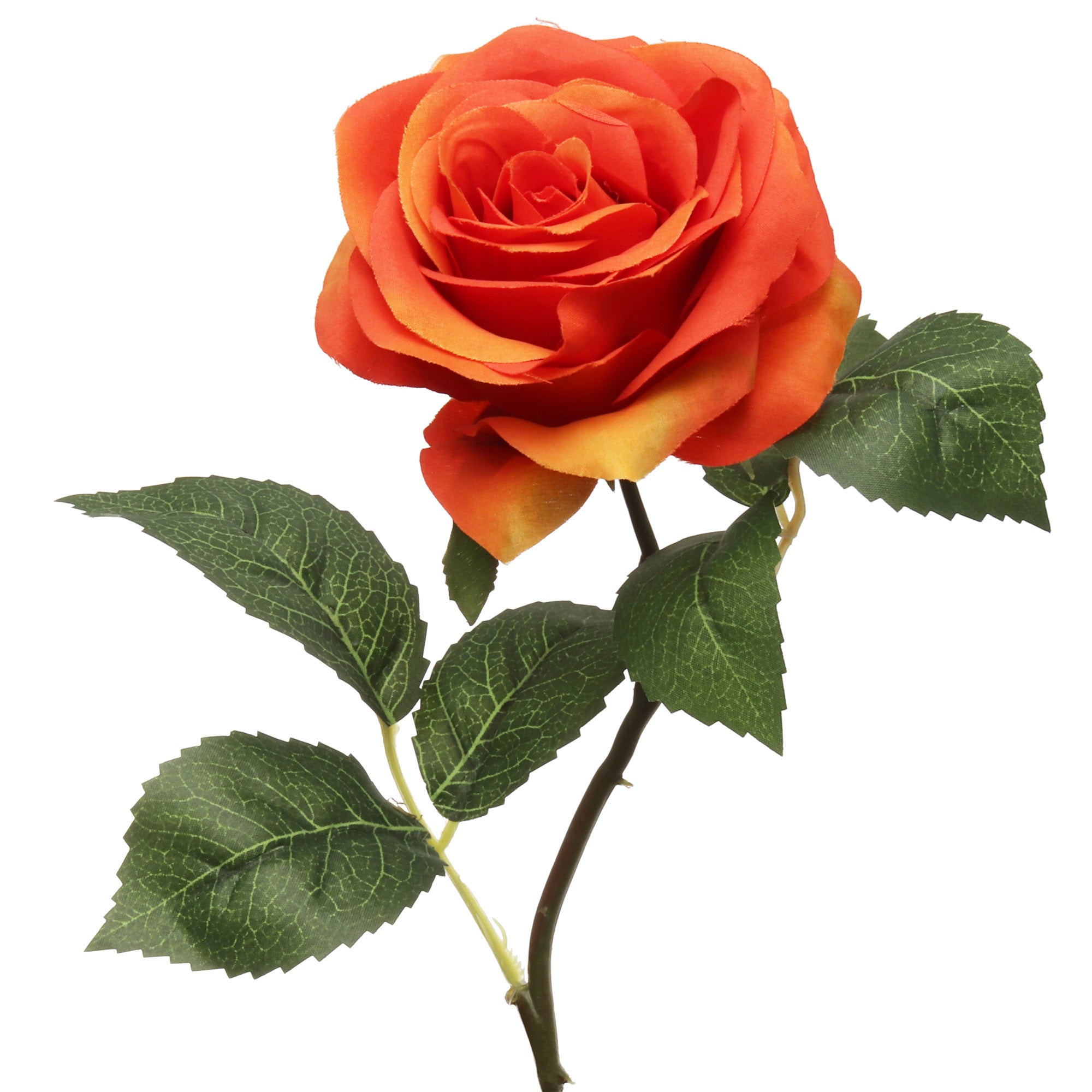 Radiant 20-inch Orange Open Rose with 4" Diameter - Perfect for Weddings, Home Decor, and Special Events