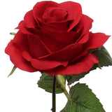 Faux Open Rose Stems - 20"