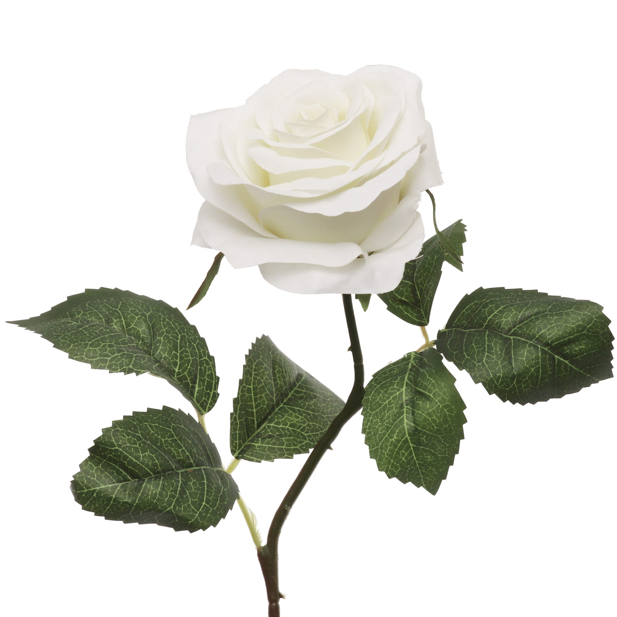 Elegant 20-inch White Open Rose with 4" Diameter - Ideal for Weddings, Home Decor, and Sympathy Arrangements