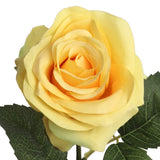 Faux Open Rose Stems - 20"