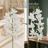 Artificial White Dendrobium Orchid Spray, 24", Bendable Wire Stem