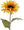 Yellow Artificial Sunflowers, 29" Stem - 7.5" Diameter Head - 
    Yellow