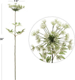 Queen Anne Lace Spray - 30"- 4 PACK