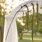 32" Green Hanging Amaranthus Spray Set of 24