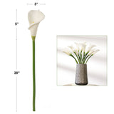 Stunning 25.5" White Calla Lily - Elegant Home Décor or Wedding Arrangements - Long Lasting Fresh Look