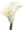 White Real Touch Calla Lily Stems, Set of 6 - 25.5" - 
    White