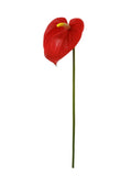 Faux Anthurium, Set of 4 - 29"
