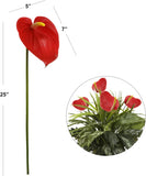 29" Anthurium- 4 PACK