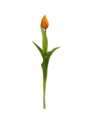 Real Touch Tulip Bud Stem - 17"