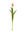 Real Touch Tulip Bud Stem - 17" - 
    Pink