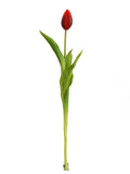 Real Touch Tulip Bud Stem - 17"