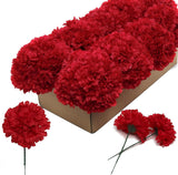 Burgundy Silk Carnation Picks - 3.5" Flower Heads & 5" Stems (100 Pack Box), Floral Home by Artificial Flowers