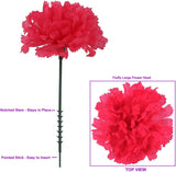 100 Pack Artificial Carnations - Bulk Silk Flowers for Weddings, Mother's Day, Graduations, Easter & Memorial Day - 3.5" Heads, 5" Stems, Real Touch Petals, - Fuschsia