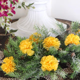 GOLD SILK CARNATION PICKS - 3.5" FLOWER HEADS & 5" STEMS (100 PACK BOX), Floral Home by Artificial Flowers