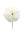 4" Artificial Carnation Picks Faux Flowers for Floral Arrangements - 
    Cream White