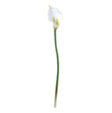 18" Real Touch Calla Lily Stem – Set of 6, Lifelike Silk Flowers