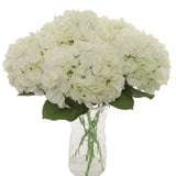 18-Inch Sophisticated Cream Hydrangea Stem Set (12 Pcs) - Large 7-Inch Blooms - Perfect for Chic Home Decor, Wedding Centerpieces & Special Event Floral Arrangements, Floral Home by Artificial Flowers