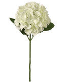 18" Cream Hydrangea Stems - Set of 12, Large 7" Blooms, Home Decor - Ideal for Bouquets, Centerpieces - Timeless All-Season Elegance, Floral Home by Artificial Flowers