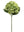 Vibrant 18-Inch Hydrangea Stem - 
    Green