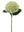 Vibrant 18-Inch Hydrangea Stem - 
    Light Green