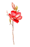 14" Magnolia Pick – Realistic Artificial Magnolia Flower Stem for Home Decor, Weddings, Floral Arrangements & Seasonal Displays