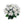 12" White Stephanotis Bush - 
    White