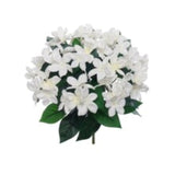 Stephanotis Bush w/ 12 Silk Flowers 12