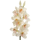30" Cymbidium Orchid Stem - 3 PACK