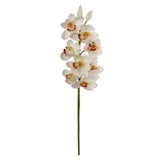 30" Cymbidium Orchid Stem - 3 PACK
