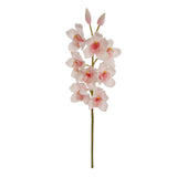 30" Cymbidium Orchid Stem - 3 PACK