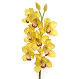 30" Cymbidium Orchid Stem - 3 PACK