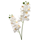 22" Phalaenopsis Orchid Spray X2 w/ 16 Silk Flowers- 3 PACK