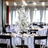 Cherry Blossom Branch Spray 52" - 3 PACK