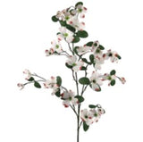 Dogwood Spray 32