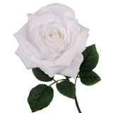 5" White Open Rose with 20" Stem - Lifelike Artificial Flower for Home Decor, Weddings, and DIY Arrangements