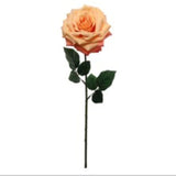 20" Open Rose Stem - 6 Pack