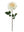 20" Open Rose Silk Flowers - 
    Champagne
